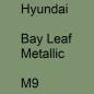 Preview: Hyundai, Bay Leaf Metallic, M9.